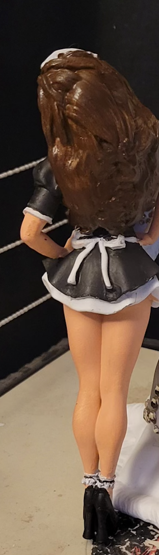 Limited Edition Custom Fifi The French Maid (WCW) x Sinn Bodhi