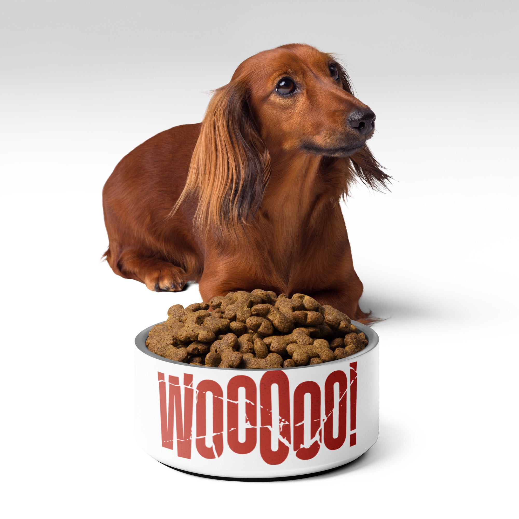 WOOOOO Pet bowl