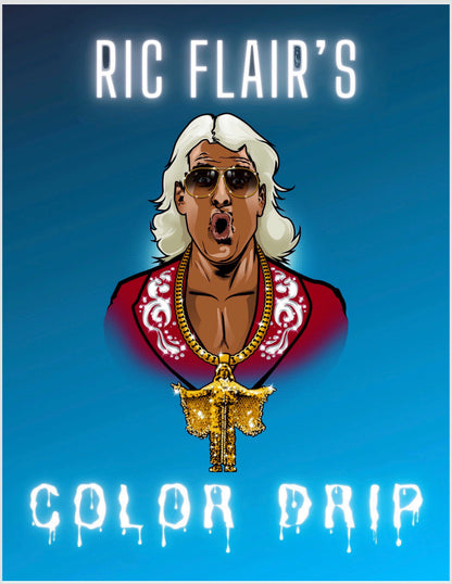Ric Flair Official Coloring Book
